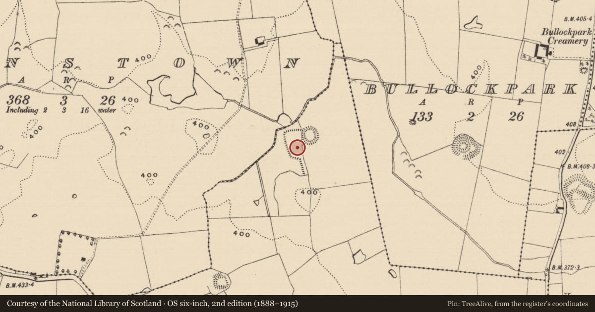 Ordnance Survey six-inch map, 2nd edition (1888–1915) covering the location of Earthwork, Rosegreen, County Tipperary South, with a pin at the register's coordinates