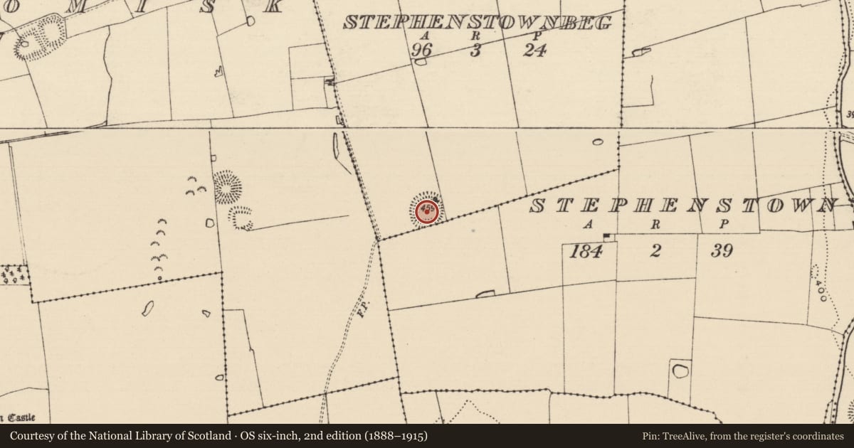 Ordnance Survey six-inch map, 2nd edition (1888–1915) covering the location of Enclosure, Stephenstown, Stephenstownbeg, County Tipperary South, with a pin at the register's coordinates