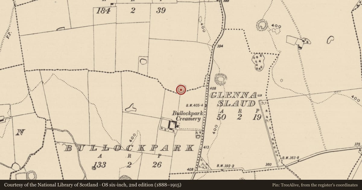 Ordnance Survey six-inch map, 2nd edition (1888–1915) covering the location of Ringfort - rath, Bullockpark, Stephenstown, County Tipperary South, with a pin at the register's coordinates