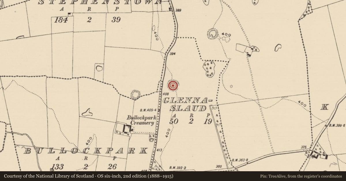 Ordnance Survey six-inch map, 2nd edition (1888–1915) covering the location of Ringfort - rath, Glennaslaud, County Tipperary South, with a pin at the register's coordinates