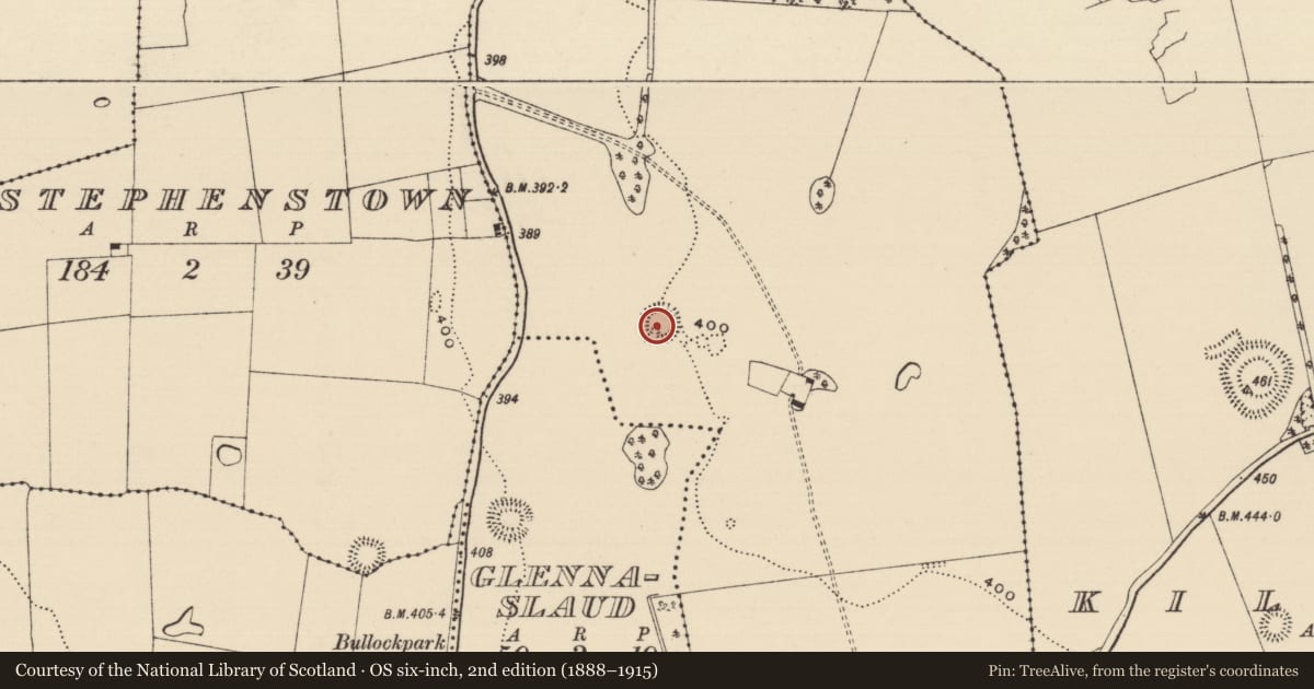 Ordnance Survey six-inch map, 2nd edition (1888–1915) covering the location of Ringfort - rath, Railstown (Railstown Par.), County Tipperary South, with a pin at the register's coordinates