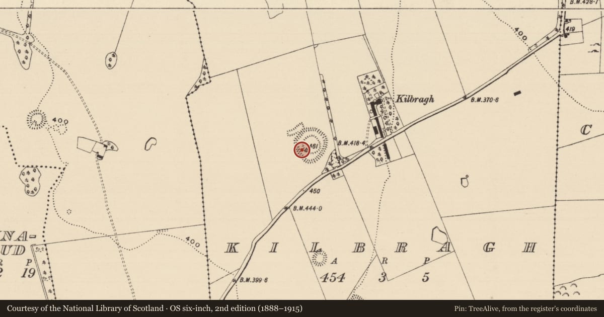 Ordnance Survey six-inch map, 2nd edition (1888–1915) covering the location of Hut site, Kilbragh (Kilbragh Par.), County Tipperary South, with a pin at the register's coordinates