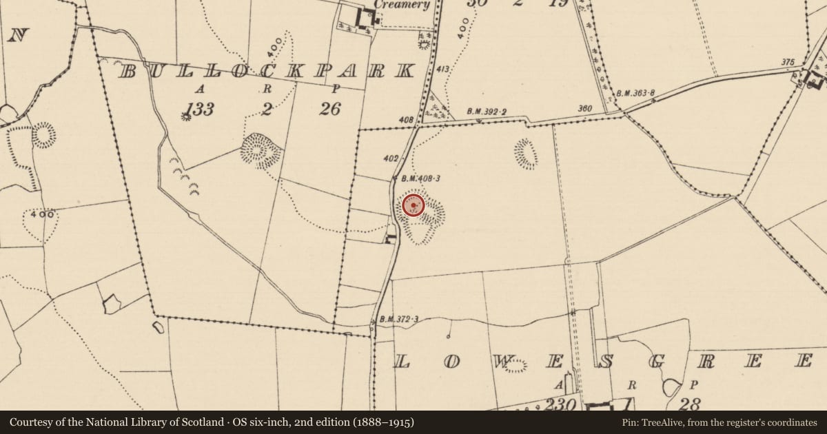 Ordnance Survey six-inch map, 2nd edition (1888–1915) covering the location of Enclosure, Lowesgreen, County Tipperary South, with a pin at the register's coordinates