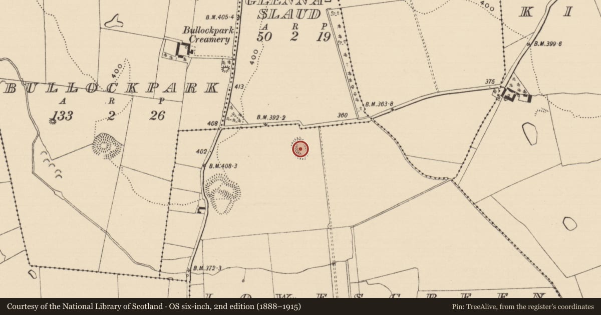 Ordnance Survey six-inch map, 2nd edition (1888–1915) covering the location of Enclosure, Lowesgreen, County Tipperary South, with a pin at the register's coordinates