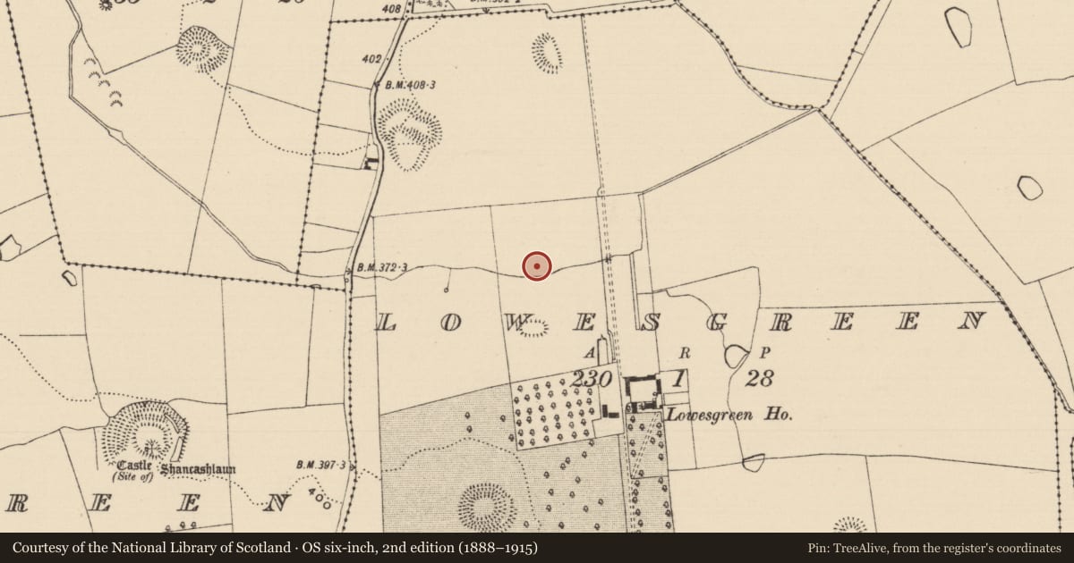 Ordnance Survey six-inch map, 2nd edition (1888–1915) covering the location of Water mill - horizontal-wheeled, Lowesgreen, County Tipperary South, with a pin at the register's coordinates