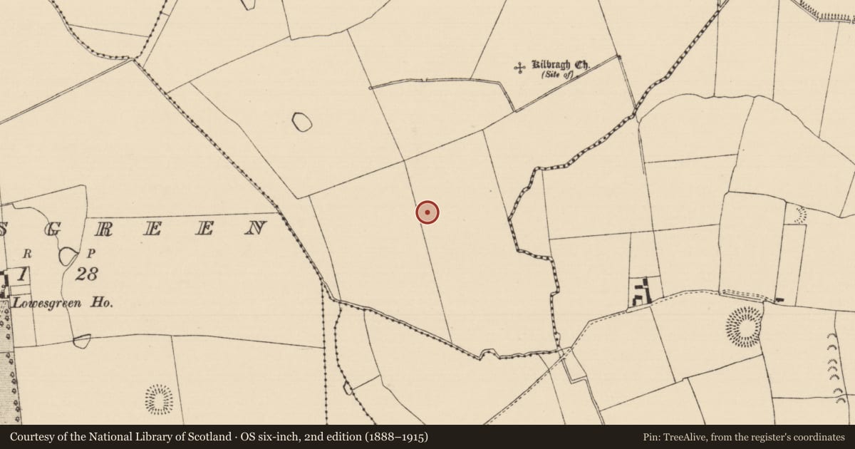 Ordnance Survey six-inch map, 2nd edition (1888–1915) covering the location of Enclosure, Kilbragh (Kilbragh Par.), County Tipperary South, with a pin at the register's coordinates