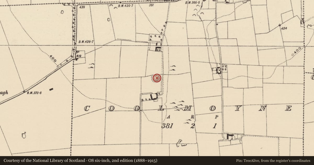 Ordnance Survey six-inch map, 2nd edition (1888–1915) covering the location of Ringfort - rath, Coolmoyne, County Tipperary South, with a pin at the register's coordinates