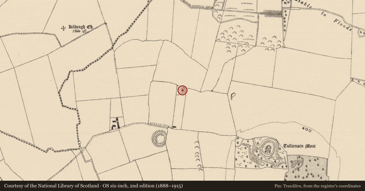 Ordnance Survey six-inch map, 2nd edition (1888–1915) covering the location of Enclosure, Tullamain (Tullamain Par.), County Tipperary South, with a pin at the register's coordinates