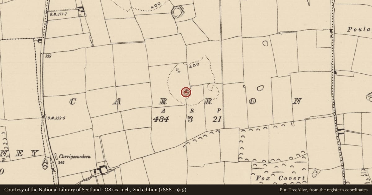 Ordnance Survey six-inch map, 2nd edition (1888–1915) covering the location of Enclosure, Carron (St. John Baptist Par.), County Tipperary South, with a pin at the register's coordinates