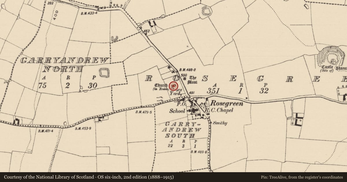 Ordnance Survey six-inch map, 2nd edition (1888–1915) covering the location of Church, Rosegreen, County Tipperary South, with a pin at the register's coordinates