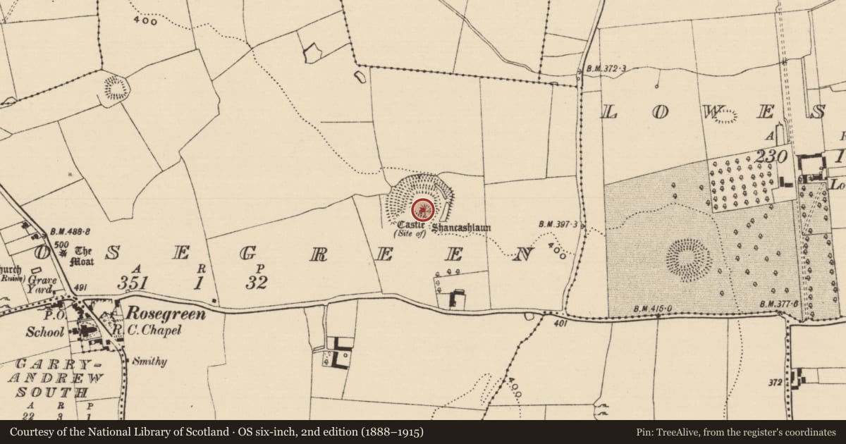 Ordnance Survey six-inch map, 2nd edition (1888–1915) covering the location of Castle - unclassified, Rosegreen, County Tipperary South, with a pin at the register's coordinates