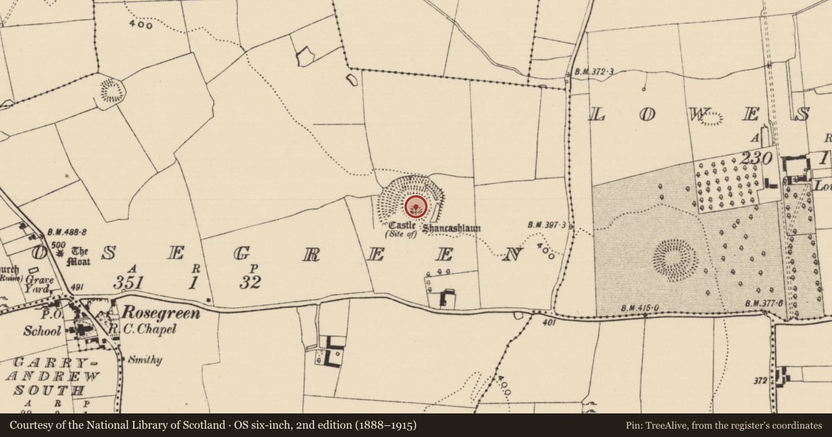 Ordnance Survey six-inch map, 2nd edition (1888–1915) covering the location of Castle - ringwork, Rosegreen, County Tipperary South, with a pin at the register's coordinates