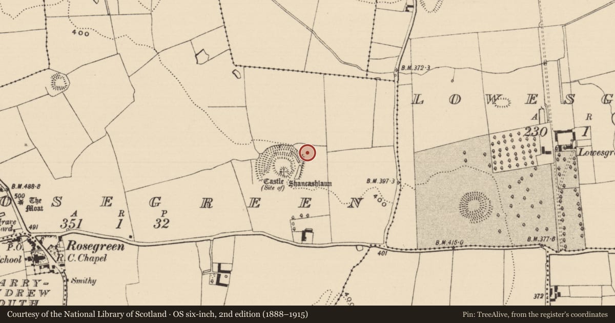 Ordnance Survey six-inch map, 2nd edition (1888–1915) covering the location of Enclosure, Rosegreen, County Tipperary South, with a pin at the register's coordinates
