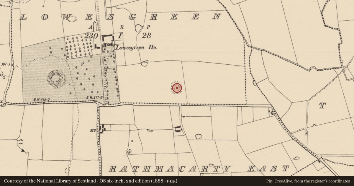Ordnance Survey six-inch map, 2nd edition (1888–1915) covering the location of Moated site, Lowesgreen, County Tipperary South, with a pin at the register's coordinates