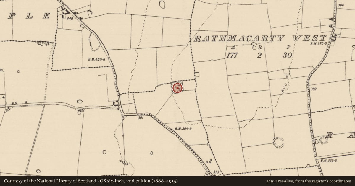 Ordnance Survey six-inch map, 2nd edition (1888–1915) covering the location of Moated site, Clashalaher (St. Patricksrock Par.), Rosegreen, County Tipperary South, with a pin at the register's coordinates
