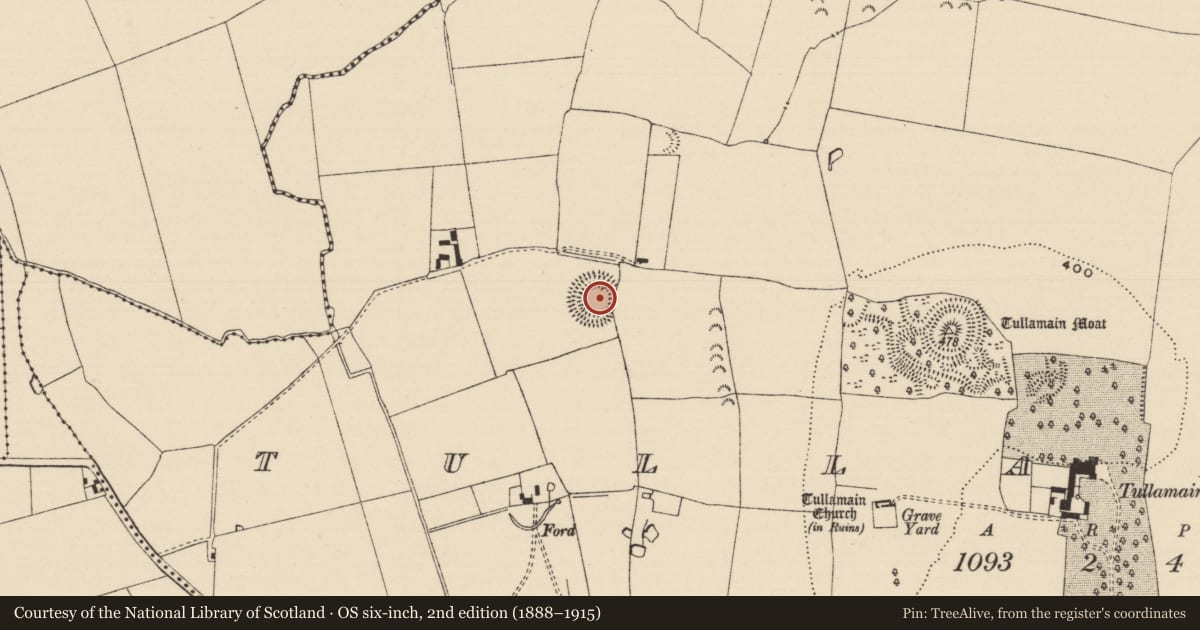 Ordnance Survey six-inch map, 2nd edition (1888–1915) covering the location of Ringfort - rath, Tullamain (Tullamain Par.), County Tipperary South, with a pin at the register's coordinates