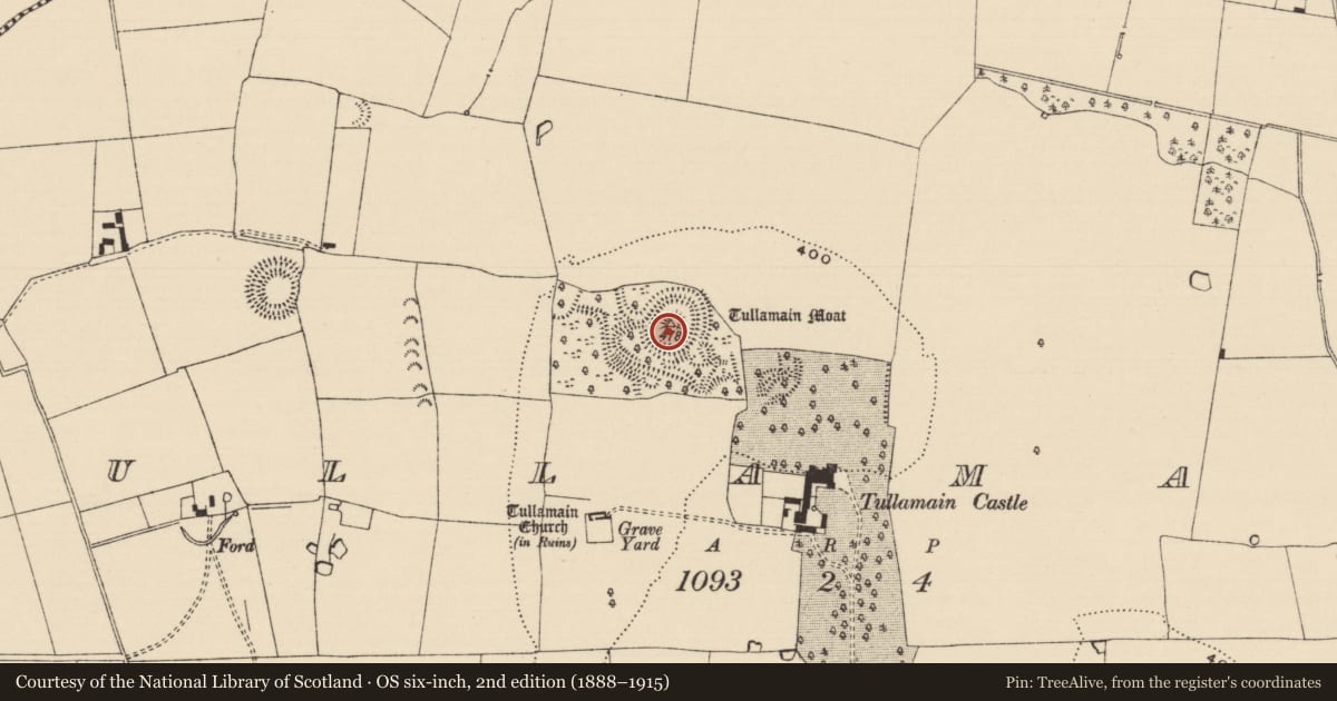 Ordnance Survey six-inch map, 2nd edition (1888–1915) covering the location of Castle - motte and bailey, Tullamain (Tullamain Par.), County Tipperary South, with a pin at the register's coordinates