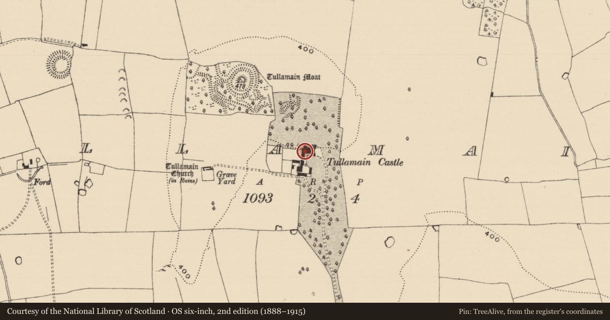 Ordnance Survey six-inch map, 2nd edition (1888–1915) covering the location of House - 17th century, Tullamain (Tullamain Par.), County Tipperary South, with a pin at the register's coordinates