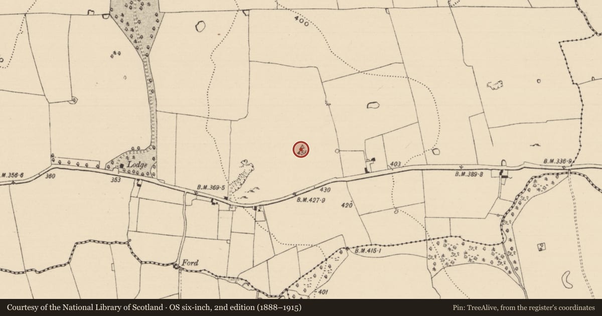Ordnance Survey six-inch map, 2nd edition (1888–1915) covering the location of Windmill, Tullamain (Tullamain Par.), County Tipperary South, with a pin at the register's coordinates