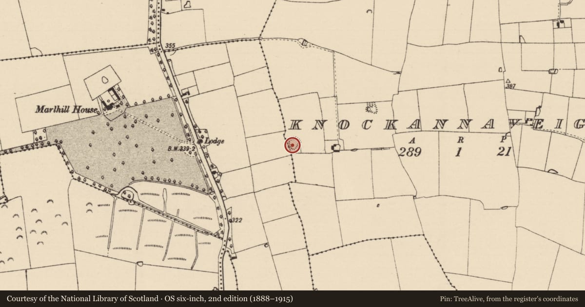 Ordnance Survey six-inch map, 2nd edition (1888–1915) covering the location of Ringfort - rath, Knockannaveigh, County Tipperary South, with a pin at the register's coordinates