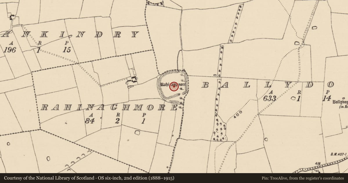 Ordnance Survey six-inch map, 2nd edition (1888–1915) covering the location of Enclosure, Ballydoyle, Rahinaghmore, County Tipperary South, with a pin at the register's coordinates