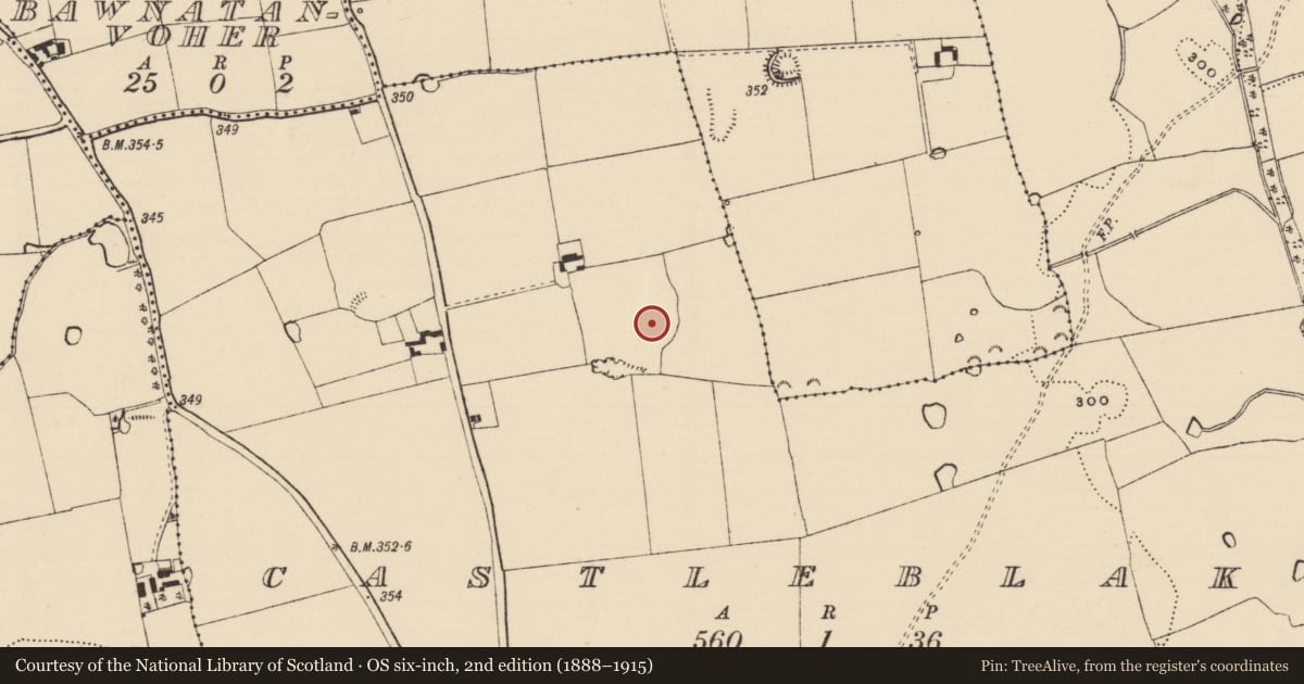 Ordnance Survey six-inch map, 2nd edition (1888–1915) covering the location of Enclosure, Castleblake, County Tipperary South, with a pin at the register's coordinates
