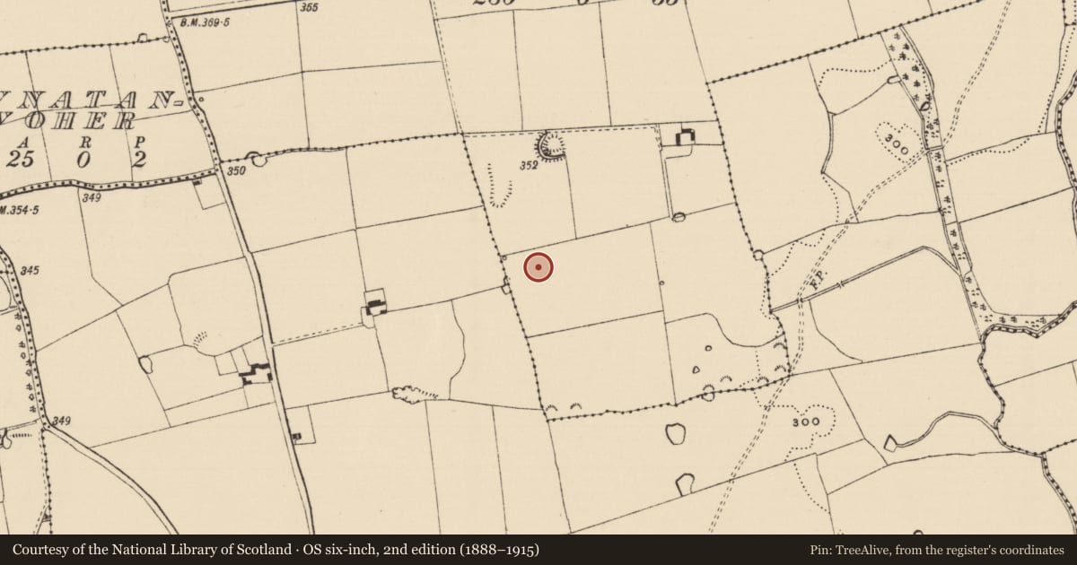 Ordnance Survey six-inch map, 2nd edition (1888–1915) covering the location of Enclosure, Rathsallagh, County Tipperary South, with a pin at the register's coordinates