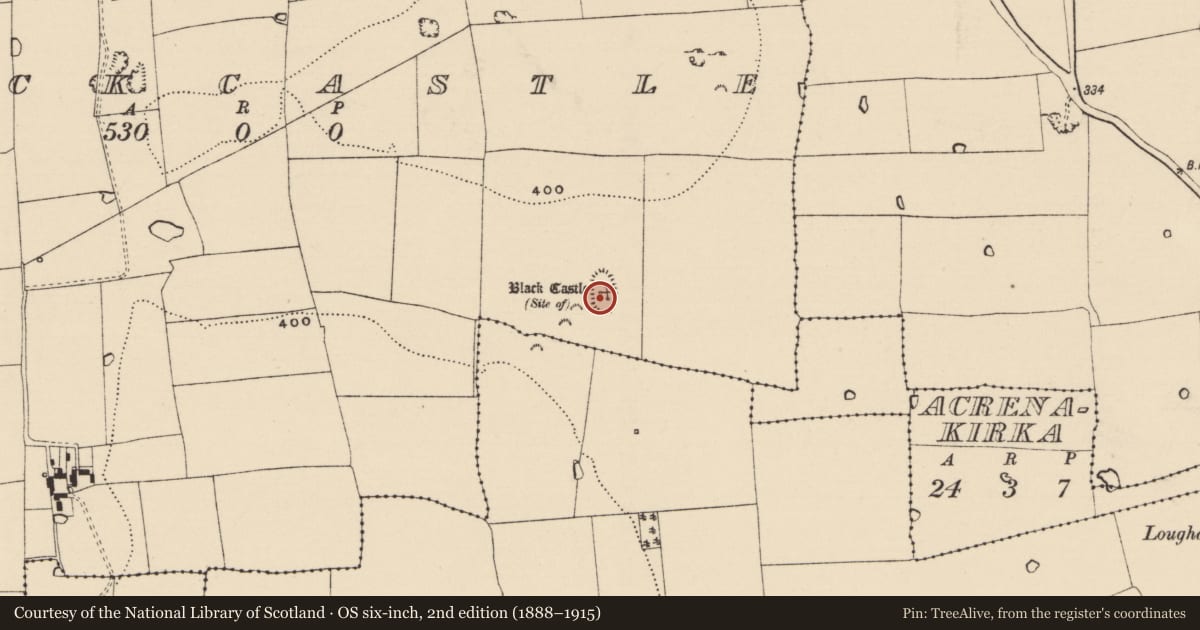 Ordnance Survey six-inch map, 2nd edition (1888–1915) covering the location of Castle - unclassified, Blackcastle (St. Patricksrock Par.), County Tipperary South, with a pin at the register's coordinates
