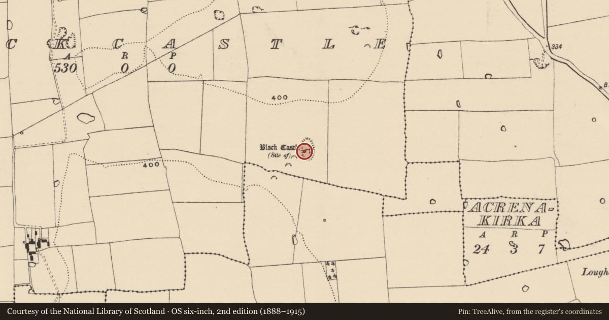 Ordnance Survey six-inch map, 2nd edition (1888–1915) covering the location of Platform, Blackcastle (St. Patricksrock Par.), County Tipperary South, with a pin at the register's coordinates