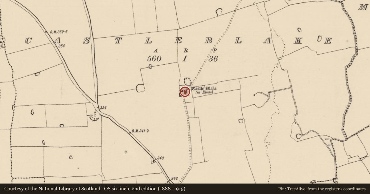Ordnance Survey six-inch map, 2nd edition (1888–1915) covering the location of Castle - tower house, Castleblake, County Tipperary South, with a pin at the register's coordinates