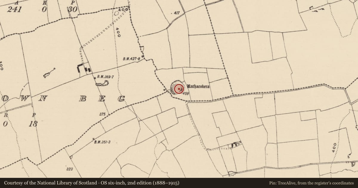 Ordnance Survey six-inch map, 2nd edition (1888–1915) covering the location of Ringfort - rath, Milltown More, County Tipperary South, with a pin at the register's coordinates