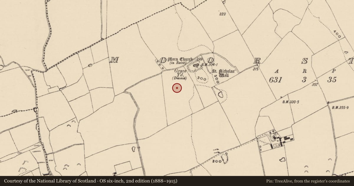Ordnance Survey six-inch map, 2nd edition (1888–1915) covering the location of Earthwork, Moorstown (Mora Par.), County Tipperary South, with a pin at the register's coordinates