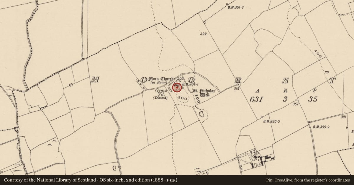 Ordnance Survey six-inch map, 2nd edition (1888–1915) covering the location of Graveyard, Moorstown (Mora Par.), County Tipperary South, with a pin at the register's coordinates