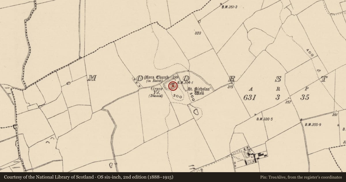 Ordnance Survey six-inch map, 2nd edition (1888–1915) covering the location of Graveslab, Moorstown (Mora Par.), County Tipperary South, with a pin at the register's coordinates