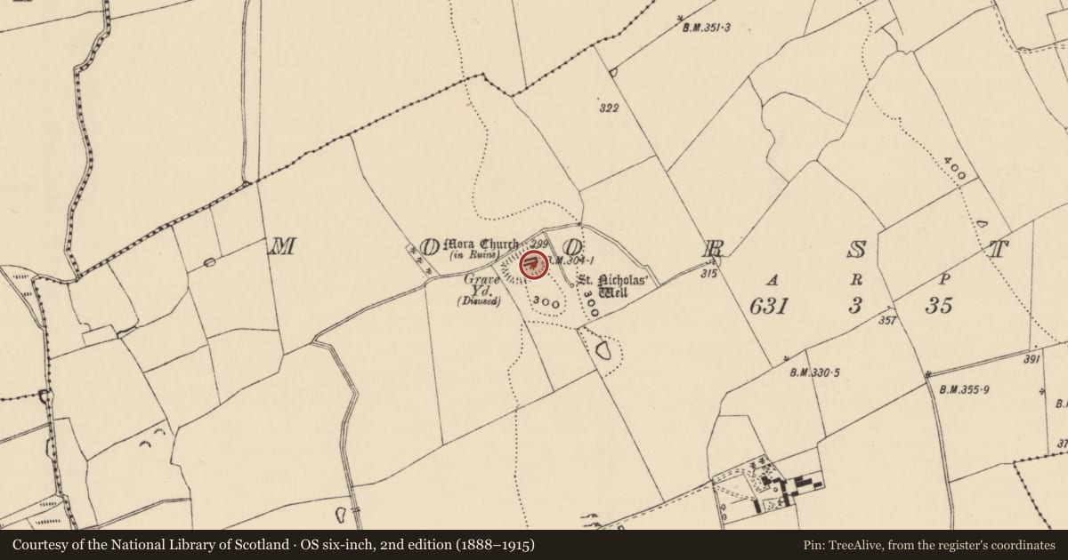 Ordnance Survey six-inch map, 2nd edition (1888–1915) covering the location of Graveslab, Moorstown (Mora Par.), County Tipperary South, with a pin at the register's coordinates