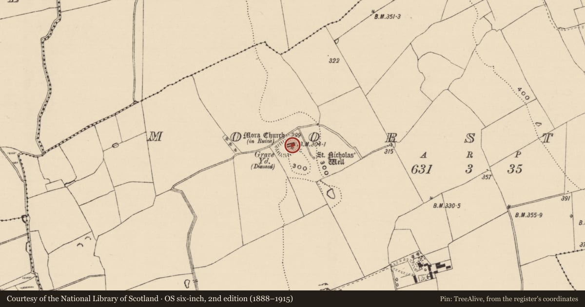 Ordnance Survey six-inch map, 2nd edition (1888–1915) covering the location of Graveslab, Moorstown (Mora Par.), County Tipperary South, with a pin at the register's coordinates
