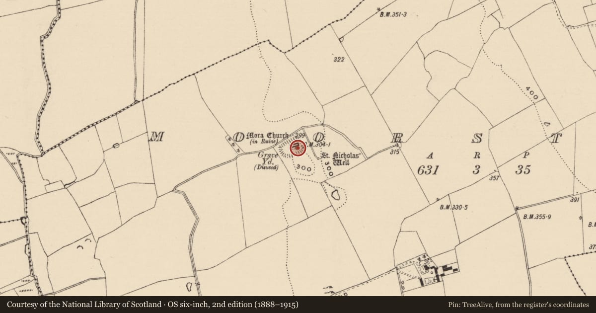Ordnance Survey six-inch map, 2nd edition (1888–1915) covering the location of Graveslab, Moorstown (Mora Par.), County Tipperary South, with a pin at the register's coordinates