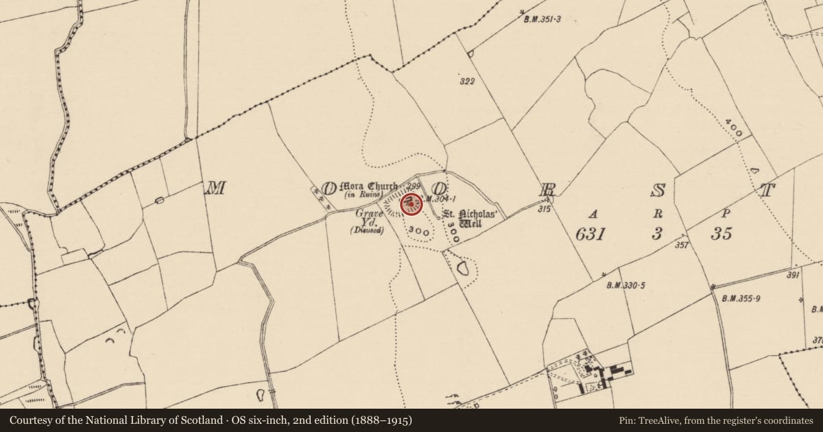 Ordnance Survey six-inch map, 2nd edition (1888–1915) covering the location of Graveslab, Moorstown (Mora Par.), County Tipperary South, with a pin at the register's coordinates