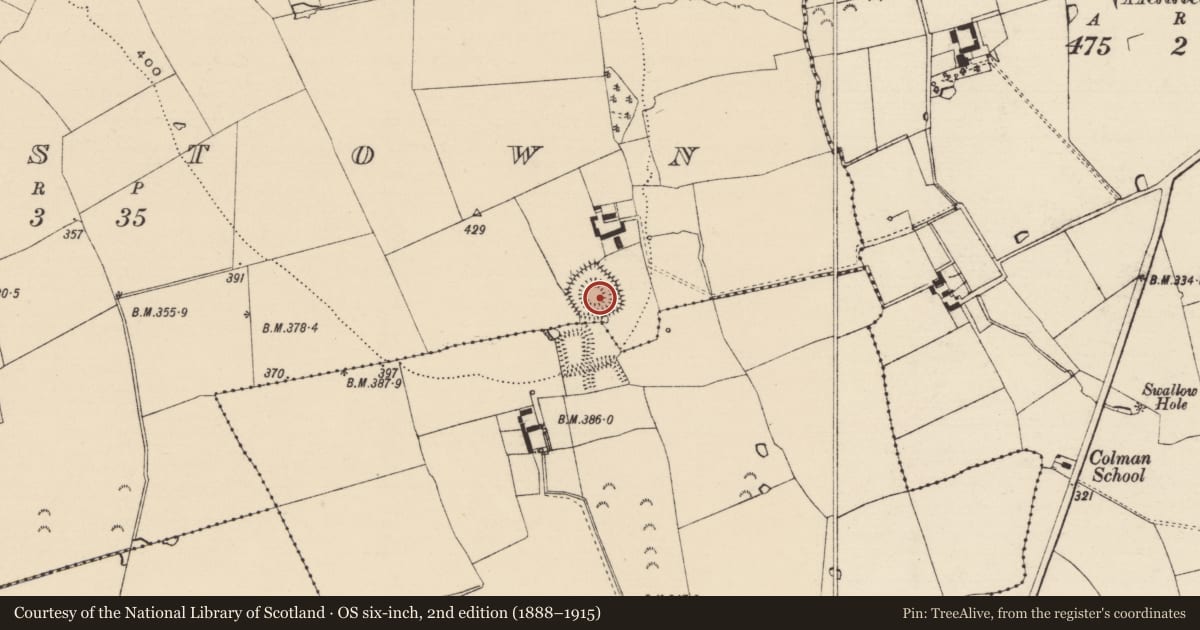 Ordnance Survey six-inch map, 2nd edition (1888–1915) covering the location of Enclosure, Moorstown (Mora Par.), County Tipperary South, with a pin at the register's coordinates