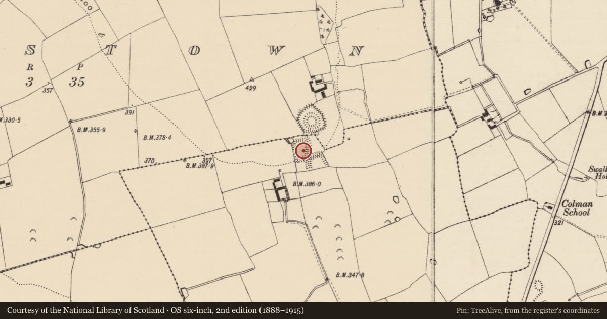 Ordnance Survey six-inch map, 2nd edition (1888–1915) covering the location of Moated site, Colman (Hennessy), Moorstown (Mora Par.), County Tipperary South, with a pin at the register's coordinates