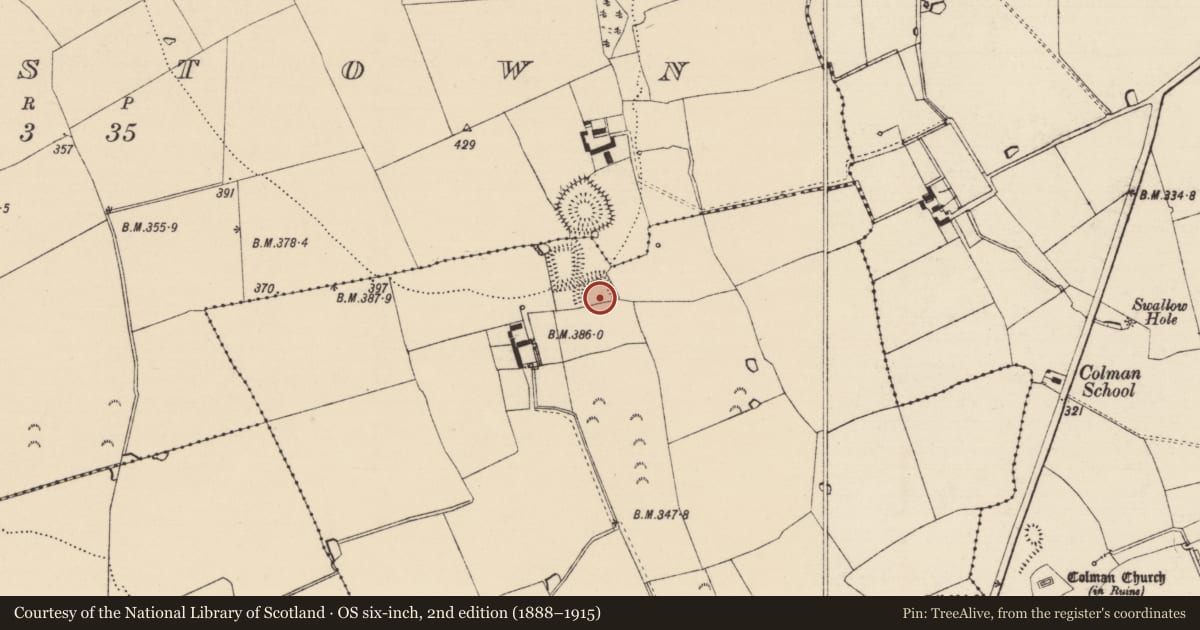Ordnance Survey six-inch map, 2nd edition (1888–1915) covering the location of Moated site, Colman (Hennessy), County Tipperary South, with a pin at the register's coordinates