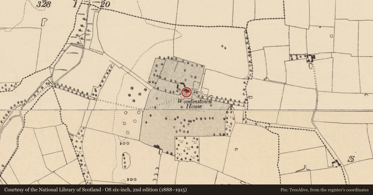 Ordnance Survey six-inch map, 2nd edition (1888–1915) covering the location of Castle - tower house, Woodinstown, County Tipperary South, with a pin at the register's coordinates