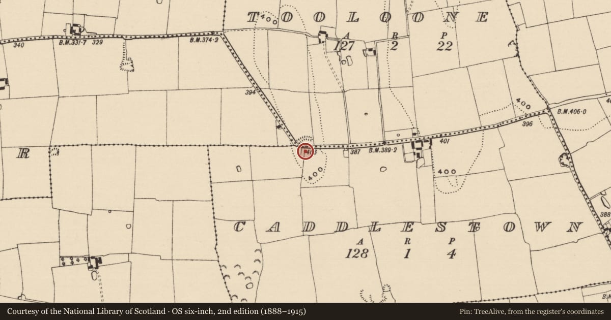 Ordnance Survey six-inch map, 2nd edition (1888–1915) covering the location of Enclosure, Caddlestown, Toolone, County Tipperary South, with a pin at the register's coordinates