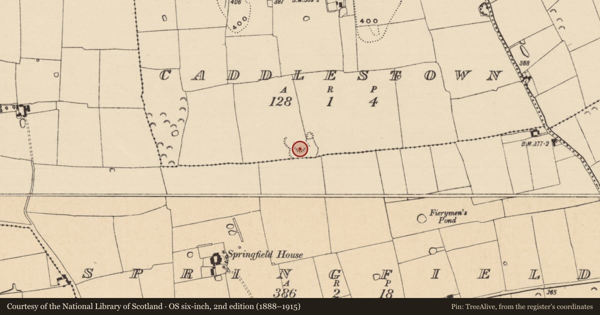 Ordnance Survey six-inch map, 2nd edition (1888–1915) covering the location of Earthwork, Caddlestown, Springfield (Knockgraffon Par.), County Tipperary South, with a pin at the register's coordinates