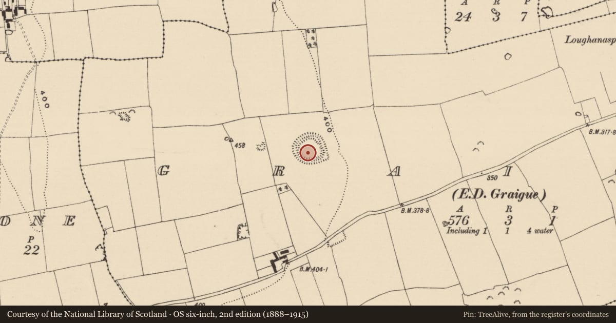 Ordnance Survey six-inch map, 2nd edition (1888–1915) covering the location of Enclosure, Graigue (Mora Par.), County Tipperary South, with a pin at the register's coordinates