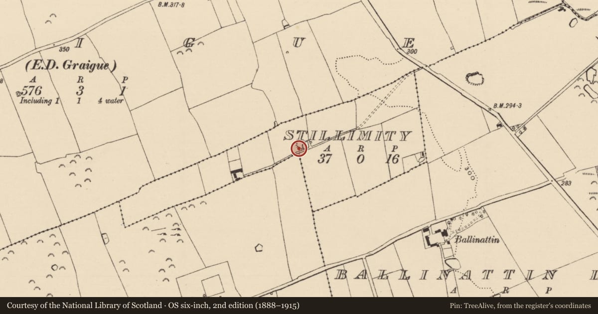 Ordnance Survey six-inch map, 2nd edition (1888–1915) covering the location of Barrow - unclassified, Stillimity, County Tipperary South, with a pin at the register's coordinates