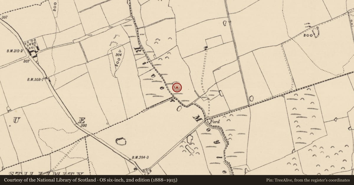 Ordnance Survey six-inch map, 2nd edition (1888–1915) covering the location of Enclosure, Moorstown (Mora Par.), County Tipperary South, with a pin at the register's coordinates