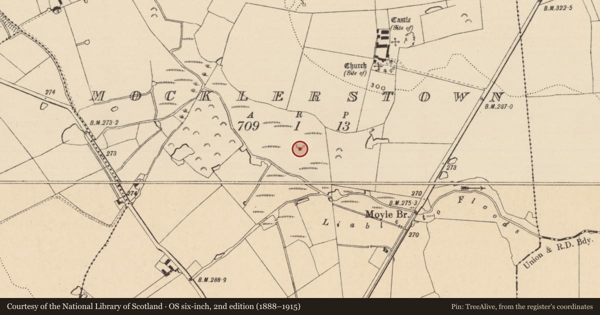 Ordnance Survey six-inch map, 2nd edition (1888–1915) covering the location of Moated site, Mocklerstown, County Tipperary South, with a pin at the register's coordinates