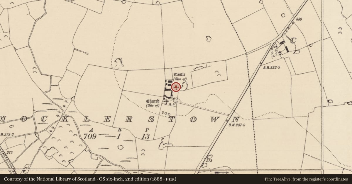 Ordnance Survey six-inch map, 2nd edition (1888–1915) covering the location of Castle - unclassified, Mocklerstown, County Tipperary South, with a pin at the register's coordinates