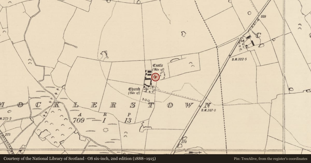 Ordnance Survey six-inch map, 2nd edition (1888–1915) covering the location of Bawn, Mocklerstown, County Tipperary South, with a pin at the register's coordinates